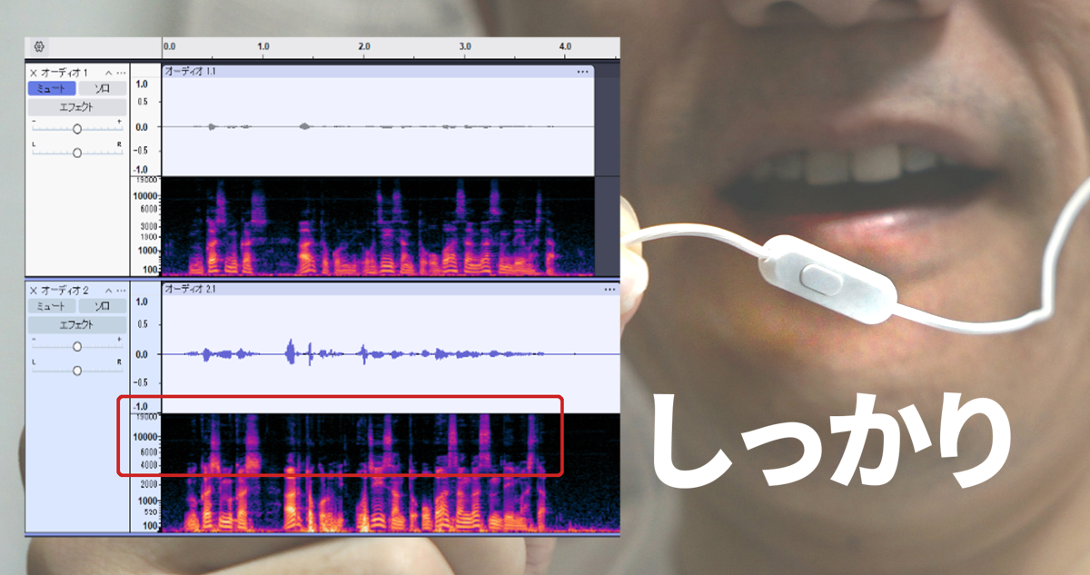 ソニー(SONY) イヤホン MDR-EX15AP : カナル型 リモコン・マイク付き ホワイト MDR-EX15AP W